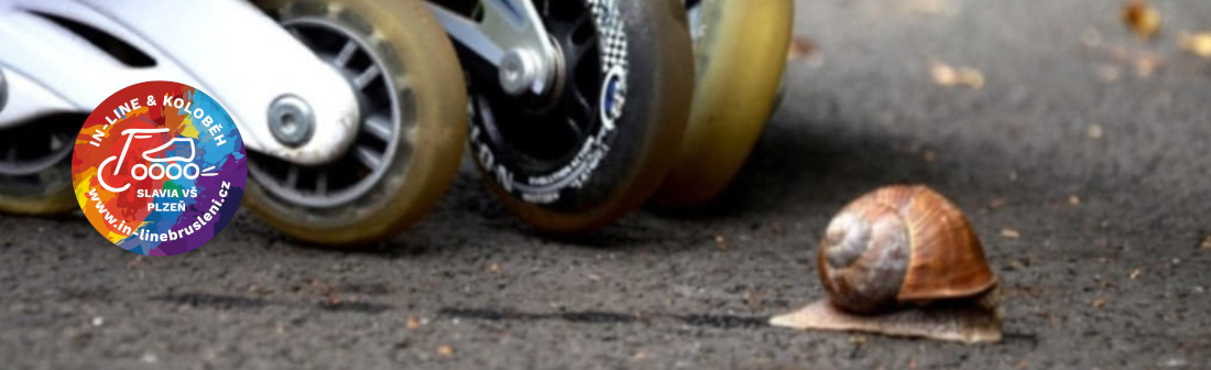 fotologo1-snek fotologo1-snek